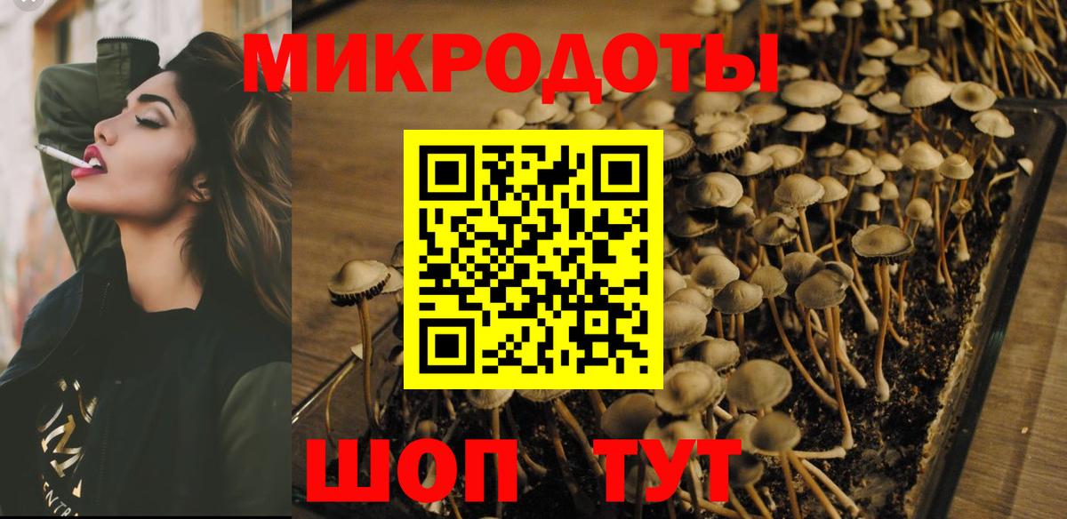 Касимов  закладка  Вход с VPN  Псилоцибиновые грибы GOLDEN TEACHER  Галлюциногенные грибы Magic Shrooms 