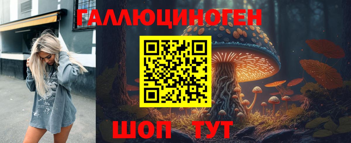 Псилоцибиновые грибы Cubensis Касимов